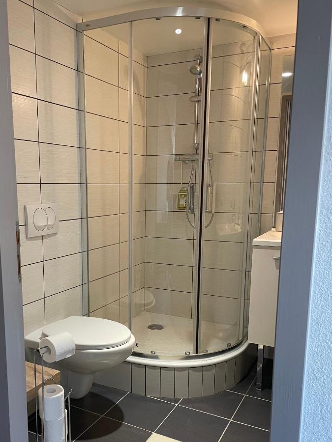 Studio Sous Les Toits Annecy Centre-Ville 外观 照片